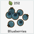 Blueberries