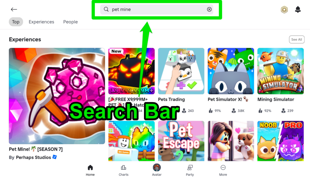 Search Bar