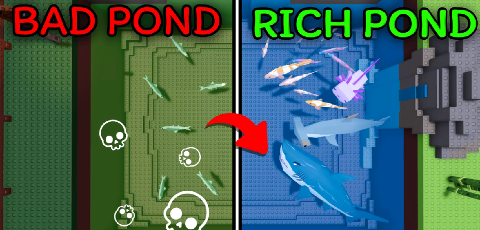 Own a Fish Pond Codes Featured Image