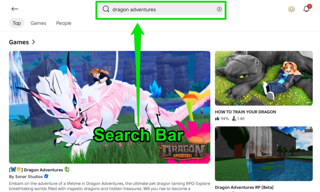 Search Bar
